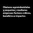 Clústeres agroindustriales y pequeñas y medianas empresas: factores críticos