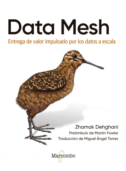 Data Mesh