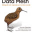 Data Mesh