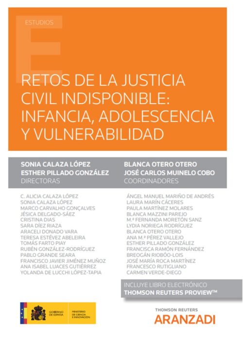 Retos de la justicia civil indisponible: infancia