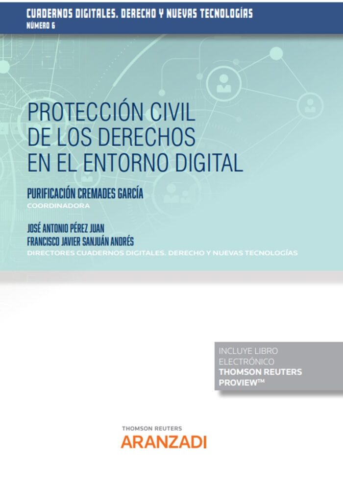 Protección civil de los derechos en el entorno digital (Papel + e-book)