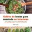 Cultivo de brotes para ensalada en interiores