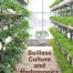 Soilless Culture and Hydroponics